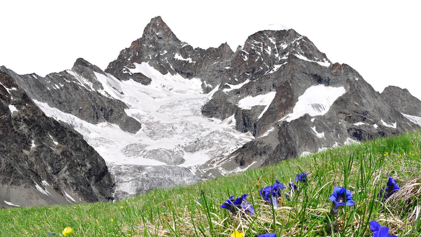 И горечавки Швейцария фото
